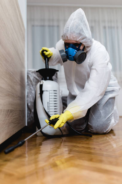 Emergency Pest Control Services in Pomona, CA